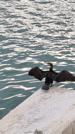 Ordinary afternoon moments captured around Dénia marina and streets