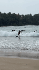 Dawn surfing session in choppy waters off Dikwella