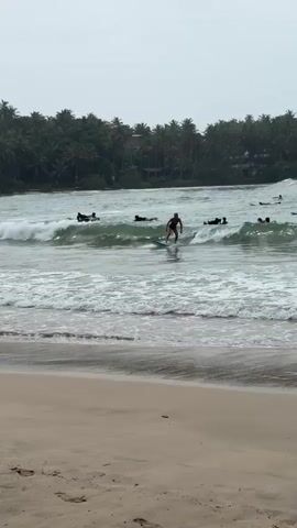 The scene captures a woman surfing in the ocean near a sandy beach lined with palm trees under a cloudy sky. Several other individuals are visible in the background, some on surfboards, further out in the water. The woman is wearing a dark-colored swimsuit and is standing on a light blue surfboard, riding a small wave towards the shore. After a few seconds, she falls off the board into the water. The water is choppy, and the waves are small, with white foam visible on their crests. The beach is a light sand color, with some wet patches reflecting the overcast sky. The overall mood of the scene suggests a casual, potentially beginner-level surfing environment.