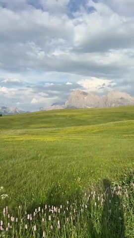 This is a vertical, landscape-oriented video of a scenic view in Kastelruth, Italy. The foreground is dominated by a field of tall green grass with clusters of small pink flowers and white wildflowers in bloom. Beyond this field, the landscape opens up to rolling green hills dotted with yellow wildflowers. In the middle ground, several small wooden houses or huts with dark roofs are visible, nestled into the hillsides.

The background features a majestic mountain range with jagged, rocky peaks. The sky is a mix of blue sky and white, fluffy clouds, suggesting it is daytime, likely late afternoon or early evening due to the soft light. The overall mood is serene and peaceful, highlighting the natural beauty of the alpine landscape. There is no visible text in the video. The activity taking place is simply the observation of this picturesque natural scene.