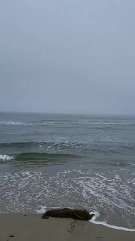The video captures a view of a beach on a foggy day. The sky is overcast and gray, blending into the hazy horizon where the sea meets the sky. Gentle waves with white foam are rolling onto the sandy shore. Some seaweed and debris are visible on the sand in the foreground. The scene is calm and serene, with no people or animals present.