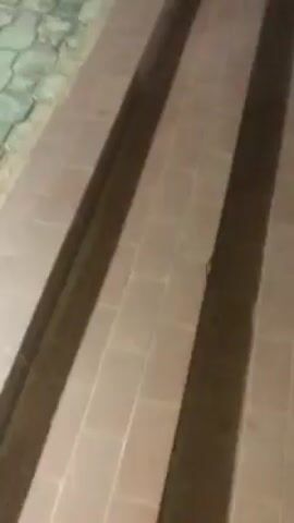 The video begins with a close-up shot of a brown brick walkway with linear indentations. The camera then pans upwards to show a beige wall with a white top, revealing that the walkway is alongside a building. The camera then points downwards at the pavement, composed of pink and grey interlocking paving stones. Finally, the camera returns to a view of the wall and the distant landscape.