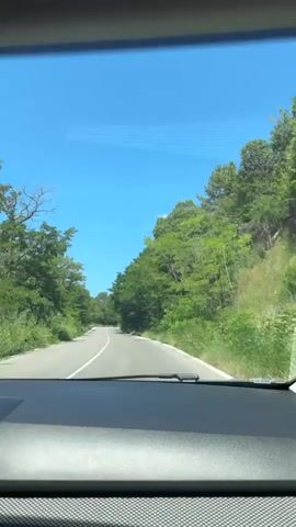 The video is shot from the interior of a car looking through the windshield at a paved road curving through a dense, green forest on a sunny day. The road has a white line down the center and a white line on the right edge. The sky is clear and blue. Trees and foliage line both sides of the road, with some branches extending over the road, creating a tunnel-like effect. The car appears to be in motion, driving forward on the road. The dashboard of the car is visible at the bottom of the frame. There are no other vehicles or people visible in the shot.