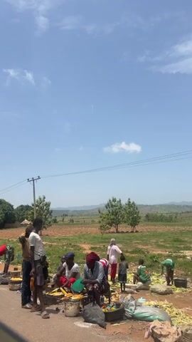 A roadside scene shows people engaged in selling corn on a bright day with a blue sky and scattered clouds. Several adults and children are present, some sitting and preparing corn while others stand nearby. The landscape in the background is characterized by a flat, grassy field with scattered trees, leading to a distant hill range under the vast sky. A utility pole with wires runs across the top of the frame, adding to the rural, everyday setting. The foreground shows piles of corn, containers, and debris, suggesting a bustling marketplace.