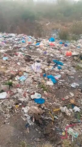 The video shows a large area littered with trash. The ground is covered in plastic bags, paper, cloth, and other debris. There are trees and shrubs visible in the background, indicating that the area is likely a field or vacant lot. The weather appears to be overcast.
