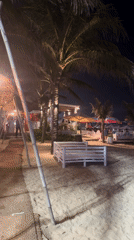 Nighttime beach scene with palm trees, benches documented