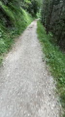 Hiking a forest trail near Molveno with Dolomite views