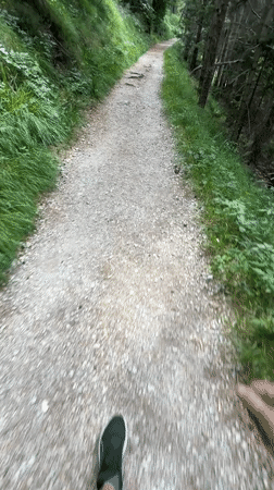 Hiking a forest trail near Molveno with Dolomite views
