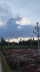 Morning scenes captured across Da Lat's gardens and cathedral district