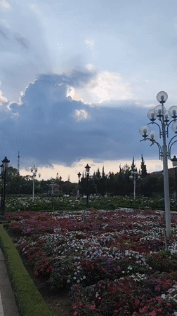 Morning scenes captured across Da Lat's gardens and cathedral district