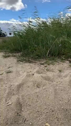 The video shows a close-up view of sand in the foreground. In the background, tall green grass sways in the wind under a partly cloudy sky. A small purple flower is visible among the grass on the left side of the frame. A tiny object, possibly an insect or a butterfly, is also seen flying near the grass on the right. The camera is positioned low to the ground, creating a perspective that emphasizes the texture of the sand and the movement of the grass.