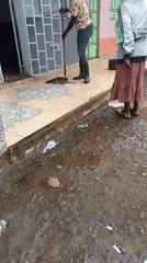 Morning cleanup effort tackles debris in Maua residential area