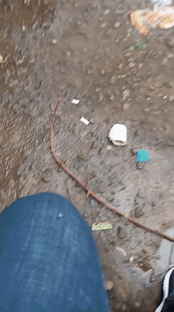 Morning cleanup effort tackles debris in Maua residential area