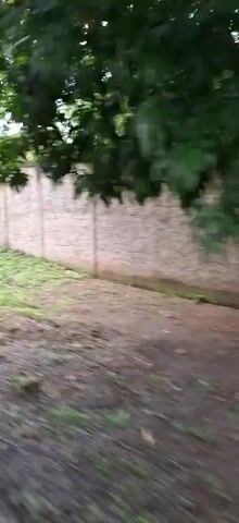 The video shows a first-person perspective of walking along a path next to a concrete wall. There are bushes and trees on both sides of the path. The wall is grey and appears to be made of concrete blocks. The ground is covered with grass and some dirt. In the distance, there is a green hill. The video is shaky, suggesting it was filmed while the person was moving.