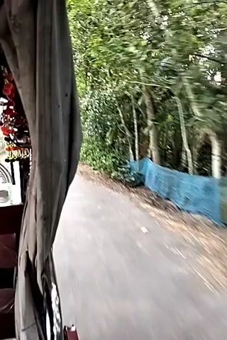 A vehicle moves along a paved road. The view from the passenger seat shows trees and greenery lining the roadside. The vehicle's frame is visible, with a gray curtain partially obscuring the view. The road appears to be mostly empty, with patches of fallen leaves. A downed tree trunk is visible on the side of the road.