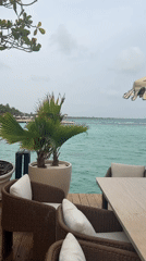 Restaurant patio and tropical garden documented at same location