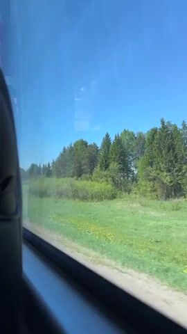 The video shows a view from a train window as it moves past a rural landscape. Outside the window, a green field stretches out towards a line of trees. The trees are a mix of deciduous and coniferous varieties. The sky is a clear, bright blue. A speed limit sign is visible briefly. The train's interior is partially visible in the frame, including the window frame. The camera is static, and the scene is captured in natural lighting.