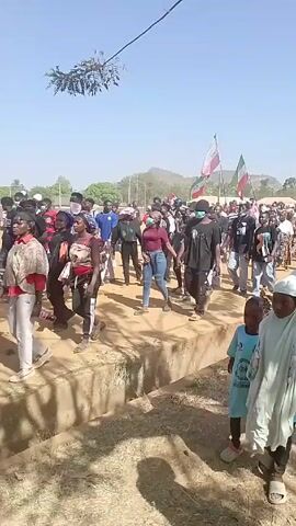 A large crowd of people is walking across a bridge. The people are diverse, with varying ages and attire. Many are wearing casual clothing like jeans, t-shirts, and dresses. Several individuals are carrying flags, identifiable by green, white, and red colors, with a symbol in the center. A few people are wearing face masks. There are children in the crowd. The bridge is made of concrete and crosses over a dry ditch or trench. The surrounding environment appears to be a rural or semi-rural area, with a few trees visible in the background and what appears to be a distant hill. The sky is clear and blue, suggesting a sunny day. There is an object suspended above the crowd by a pole, possibly a decoration. The atmosphere seems to be charged with the sound of a horn.