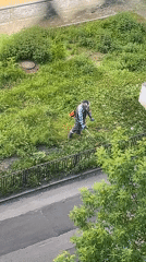 Person operates string trimmer for yard maintenance on sunny morning