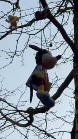 A low-angle shot shows various stuffed toys hanging from the bare branches of a tree against a pale blue sky. The focus is on a Mickey Mouse plush figure dressed in a cape. Other toys are visible in the periphery, including what appears to be a Pooh bear and some red heart-shaped objects. The tree has a textured bark, and the branches are silhouetted against the sky. The overall scene suggests an outdoor setting during the colder months.