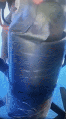 Mixed video fragments captured in Samara show weapons, diplomats, sports