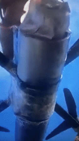 Mixed video fragments captured in Samara show weapons, diplomats, sports