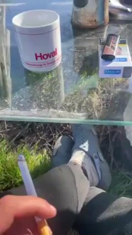 The video shows a glass-topped table in an outdoor setting on a sunny day. On the table are a white "Hoval" mug, a rusty Nescafe coffee can, a pack of Cartella cigarettes, and a lighter. The table sits on a grassy area with a white wooden bench nearby. In the background, there are trees without leaves and a low stone wall, suggesting a rural or village setting. The camera pans around the scene, showing the surrounding yard with more trees and a glimpse of a building in the distance. The focus is on the items on the table and the tranquil outdoor environment. A person's legs are visible beneath the table, wearing white socks and gray Crocs.