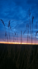 Sunset captured over grassy fields near Roostiku street, Tallinn