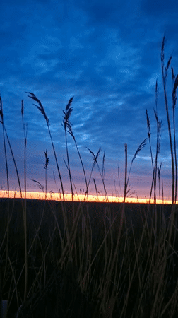 Sunset captured over grassy fields near Roostiku street, Tallinn
