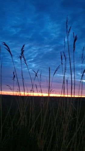 Sunset captured over grassy fields near Roostiku street, Tallinn