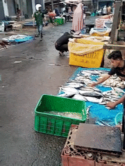 Late-night fish market draws customers in Lhokseumawe, Indonesia