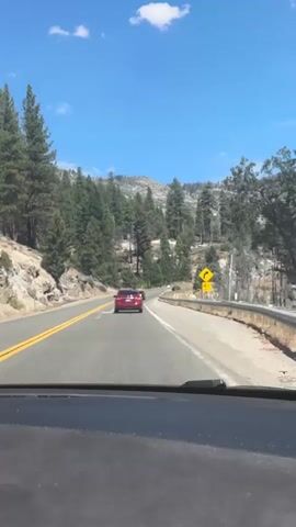 The video shows a point-of-view shot from inside a vehicle traveling on a paved road. The road curves to the right, with a yellow line marking the center and a white line on the right shoulder. A guardrail runs along the right side of the road. Ahead, two red cars are visible on the road. A yellow sign with a black arrow indicating a curve and the number 45 is posted on the right side of the road. The surrounding environment consists of a mountainous terrain with numerous evergreen trees and rocky outcrops. The sky is clear and blue with a few white clouds. The video appears to be taken during daylight hours.