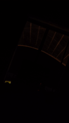 Dim interior scenes and a resting moth in Phú Quốc
