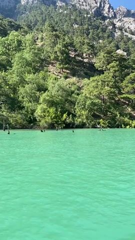 A bright, sunny scene in Akseki, Turkey, displays a calm body of water with a striking turquoise-emerald green hue. The camera moves slowly across the water, revealing a lush, verdant hillside covered in numerous trees, primarily conifers and deciduous trees, rising steeply from the water's edge. In the background, rocky mountains are visible under a clear sky. Several partially submerged tree stumps or dead trees emerge from the water close to the shoreline, hinting at a changed water level. The overall impression is one of serene natural beauty. No people or visible text are present.