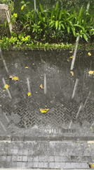 Heavy tropical rain shower documented in Kuta Selatan, Indonesia