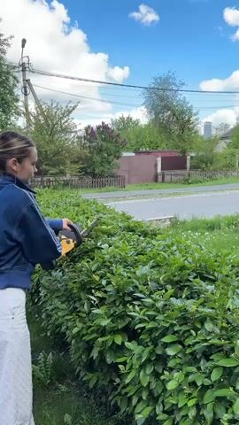 The video shows a young woman trimming a hedge outdoors. She is wearing a blue jacket with white stripes and white pants. She is holding a yellow and black hedge trimmer and is using it to cut the top of the green hedge. The hedge is located next to a paved road. In the background, there are houses, trees, and a blue sky with white clouds. There are power lines and a utility pole visible in the sky. The woman is focused on her task, carefully guiding the hedge trimmer along the top of the hedge to create a clean, even cut.