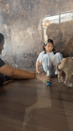 Girl watches lion cub at indoor facility in Thailand