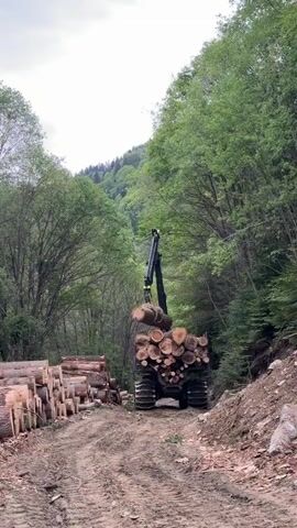 The video shows a log loader moving logs on a dirt path in a forest. The loader has a crane arm that it uses to lift logs from a large pile on the left of the path. The logs are placed onto a carrier attached to the back of the loader. The carrier is already filled with logs. The trees surrounding the path are green, and there are mountains in the distance. The sky is overcast.