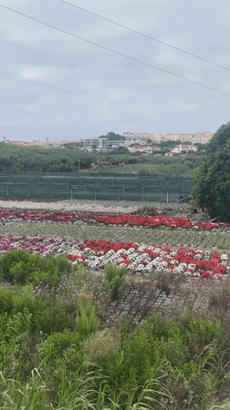 Colares, Portugal