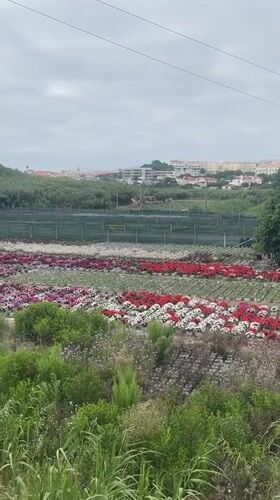Colares, Portugal