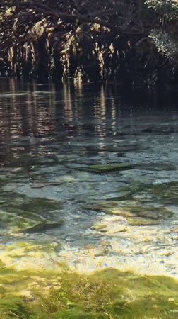 Floating and swimming a crystal-clear river in southern Italy