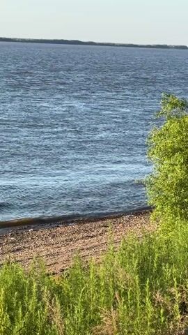 A wide shot shows a calm, blue lake with gentle waves lapping against a pebble beach. In the foreground, tall green grass sways in the breeze. In the midground, on the beach, a person sits in a camping chair next to a tent. They are wearing a light-colored hooded sweatshirt and dark pants. They appear to be engaged in some activity, possibly preparing food or relaxing. The sky is clear and a pale blue. The overall scene is peaceful and serene.