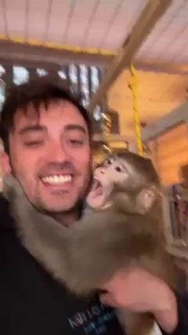 A man is holding a monkey in his arms in what appears to be a caged environment. The man is wearing a black hooded sweatshirt and has short dark hair. He is smiling and interacting with the monkey, even kissing it. The monkey is gray-brown with lighter fur on its face and belly. In the background, there is a yellow rope hanging, and the cage structure is visible with some lighting. There is also loud music playing in the background.