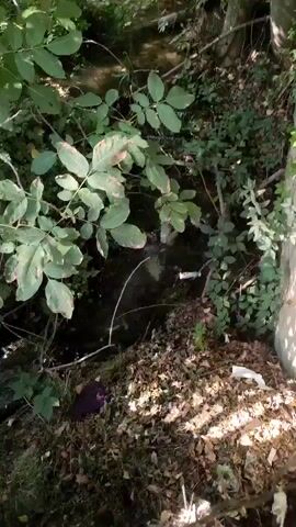The video shows a stream flowing through a wooded area. The stream has clear water and is surrounded by trees and foliage. There is a blue wooden fence to the right of the stream. The fence is old and has some peeling paint. There is also a wooden stick leaning against the fence. The ground near the fence is covered in dirt and leaves. The video appears to be shot in daylight.