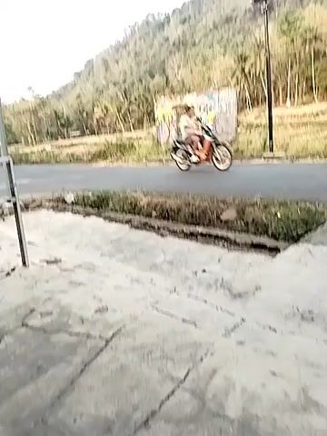 The video pans across a rural landscape. In the foreground, a concrete walkway runs along the edge of a paved road. Beyond the road are fields of dry grass and rice paddies, some of which appear to be recently harvested. A line of trees, predominantly palm trees and other deciduous trees, borders the fields. In the background, a steep, rocky hill covered in vegetation rises above the treeline. Overhead, a tangle of power lines crisscrosses the sky, supported by utility poles. On the left side of the frame, a portion of a blue sign with white lettering is visible. Further into the scene, a dilapidated concrete structure with colorful graffiti is situated near the road. The overall impression is of a somewhat arid, natural environment with signs of human presence in the form of the road, power lines, and the graffiti-covered structure. The lighting suggests it is daytime, possibly late afternoon or early morning, given the warmth of the light.