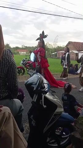 The video shows a woman in a traditional Indonesian costume dancing in the street. She wears a long, red dress with a black flower headdress and a long red train. Several other women, dressed in similar styles, stand nearby and watch. There are several motorcycles parked on the side of the road, and people are sitting on the ground, watching the performance. A rice field is visible in the background, along with a few houses.