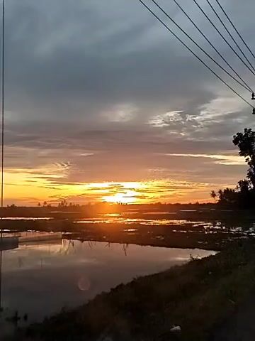 The video shows a sunrise over a rural landscape, likely from the perspective of a moving vehicle. The sun, a bright orange orb, is low on the horizon, casting a warm glow across the sky, which transitions from bright orange and yellow near the sun to muted grays and whites higher up. In the foreground, there are flooded fields or wetlands reflecting the sky, with some patches of dark land or vegetation. On the right side, there's a dirt or gravel road and some green foliage from trees or bushes. In the upper right quadrant, multiple power lines stretch across the frame, leading to a utility pole with a transformer visible towards the right edge. The silhouette of distant trees or palms can be seen along the horizon. The overall impression is that of an early morning scene in a natural, open environment.
