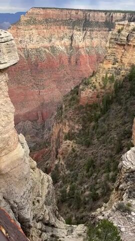 A vertical video pans from left to right across a vast canyon. The canyon walls are layered with red, pink, and cream-colored rock. Sparse green vegetation, primarily pine trees, grows on the canyon slopes. The sky above is cloudy. The foreground features a section of light-colored rock.
