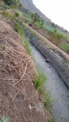 The video begins with a medium shot of a dirt path running alongside a concrete canal. In the distance, a person on a red motorcycle is riding on the path. The canal is filled with water, and on the other side of the path are fields and trees. The background features a gently sloping hill or mountain. The sky is overcast with some lighter clouds. As the video progresses, the camera slowly pans to the right, revealing more of the rural landscape. The motorcyclist continues to ride in the distance, maintaining a consistent position relative to the camera. The lighting suggests it is either early morning or late afternoon. The overall scene depicts a tranquil, outdoor environment in a rural area.