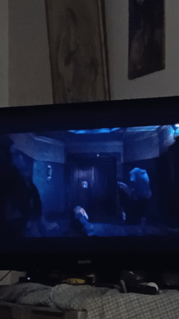 Late-night domestic moments documented across Buenos Aires household